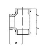 proimages/MALLEABLE_IRON_FITTING/MECH/ASME/130/meibiao_15.jpg