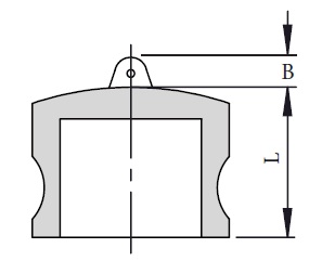 DP Dust Plug