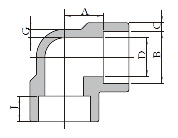 Forged High Pressure Fittings