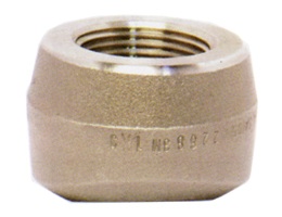 THREADOLET Forged High Pressure Fitting