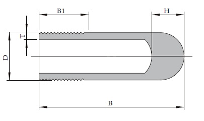 Forged High Pressure Fittings TBP