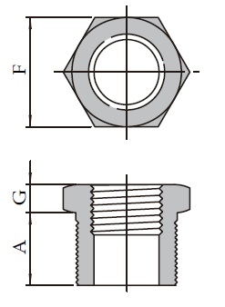 Forged High Pressure Fittings T27