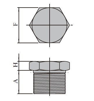 Forged High Pressure Fittings T28A