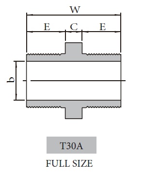 Forged High Pressure Fitting T30A_T30B