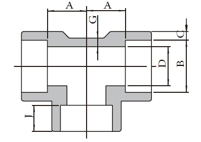 Forged High Pressure Fitting