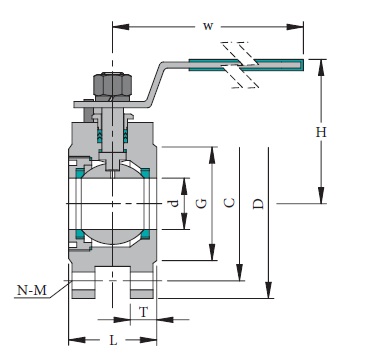 Stainless & Carbon Steel Valve W-1F